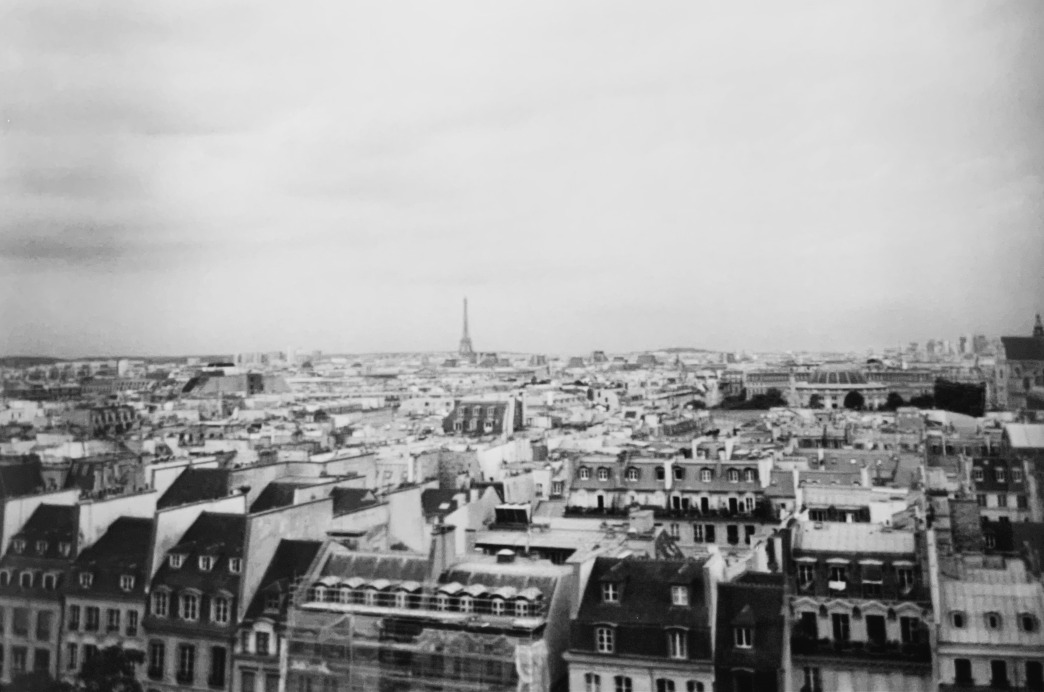 Black and white picture Paris' roofs from above'